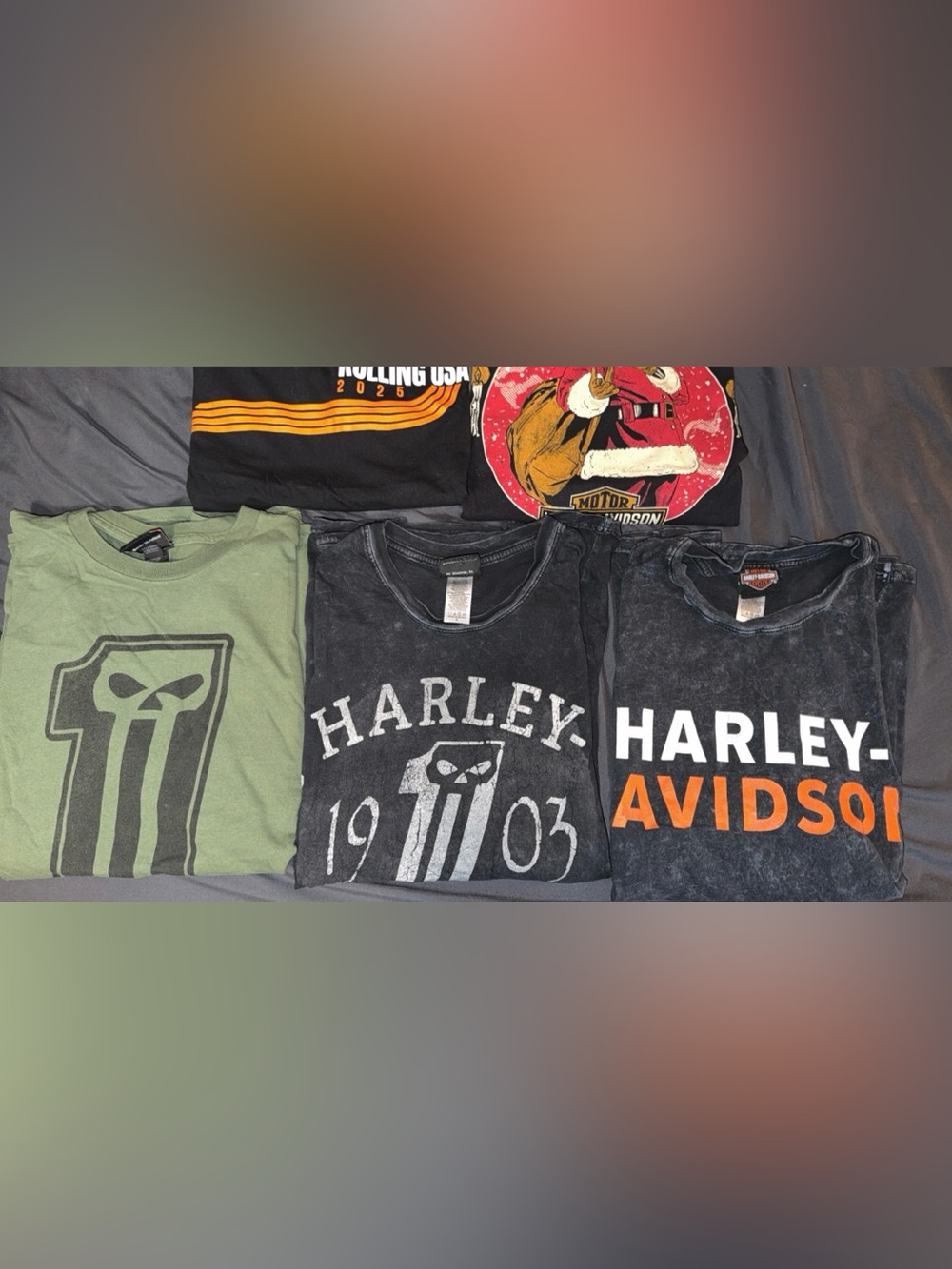 Harley-Davidson Men’s Multi-Shirt Lot
